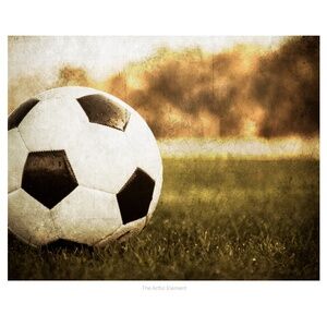 16x20 Soccer Photograph, Original Sports Art
